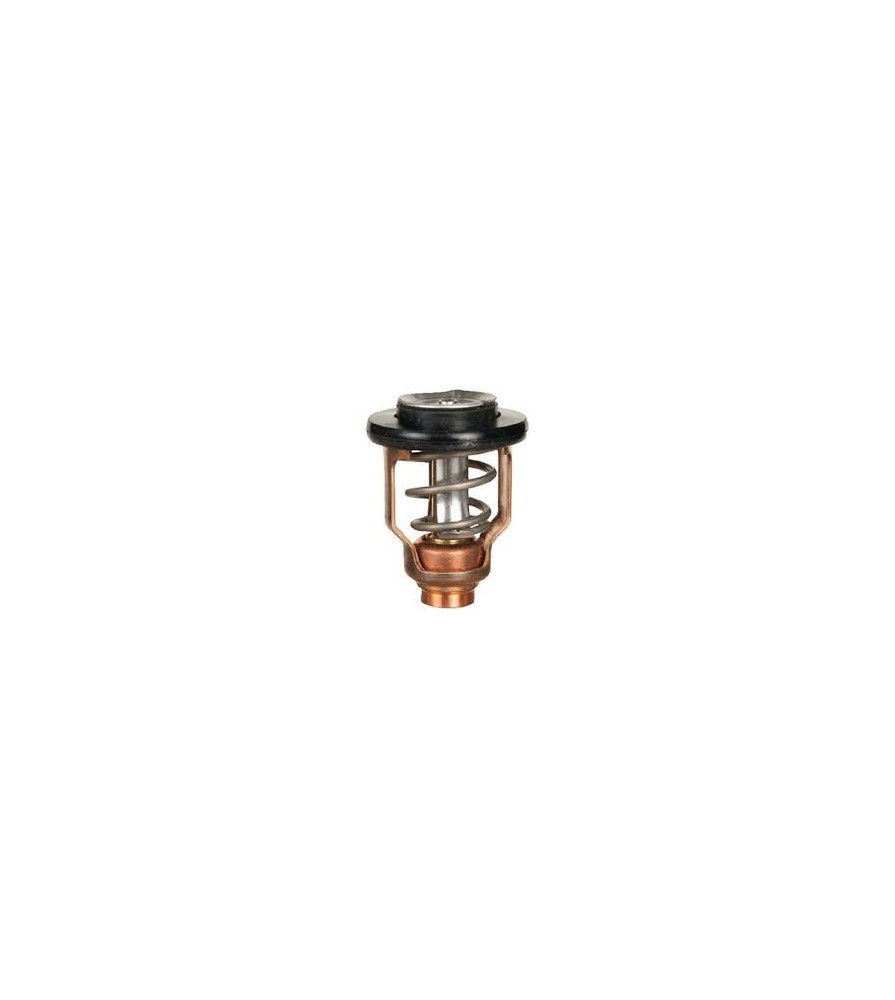 thermostat 60° pour yamaha F25G