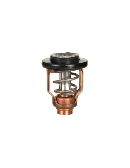 thermostat 60° pour yamaha F25G