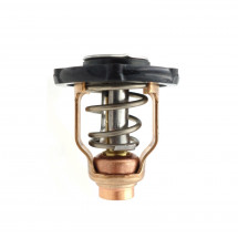 thermostat 60° pour yamaha F100F
