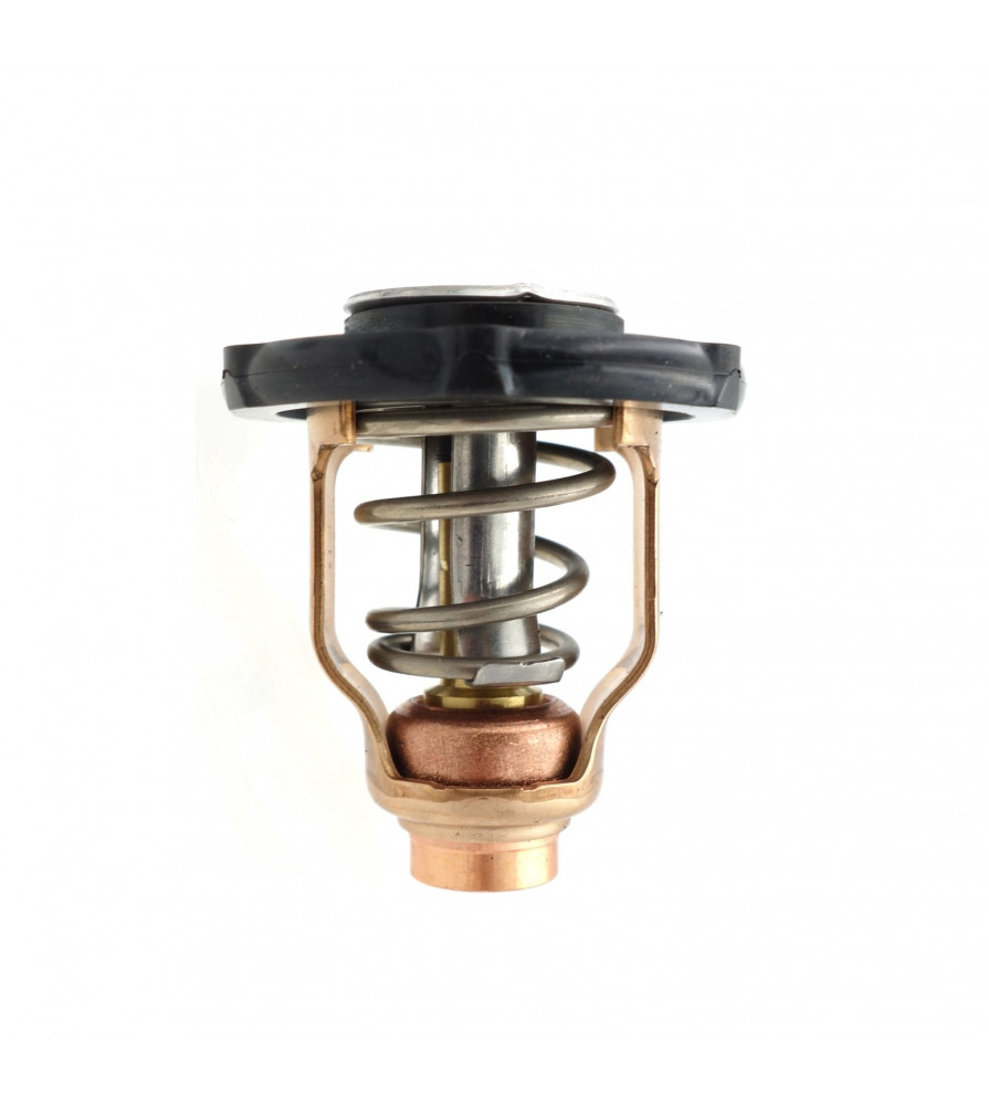 thermostat 60° pour yamaha F100F