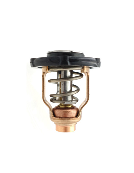THERMOSTAT YAMAHA 60ºC
