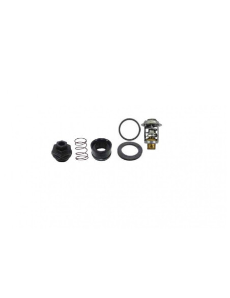 kit thermostat pour johnson evinrude 133° V6 offshore